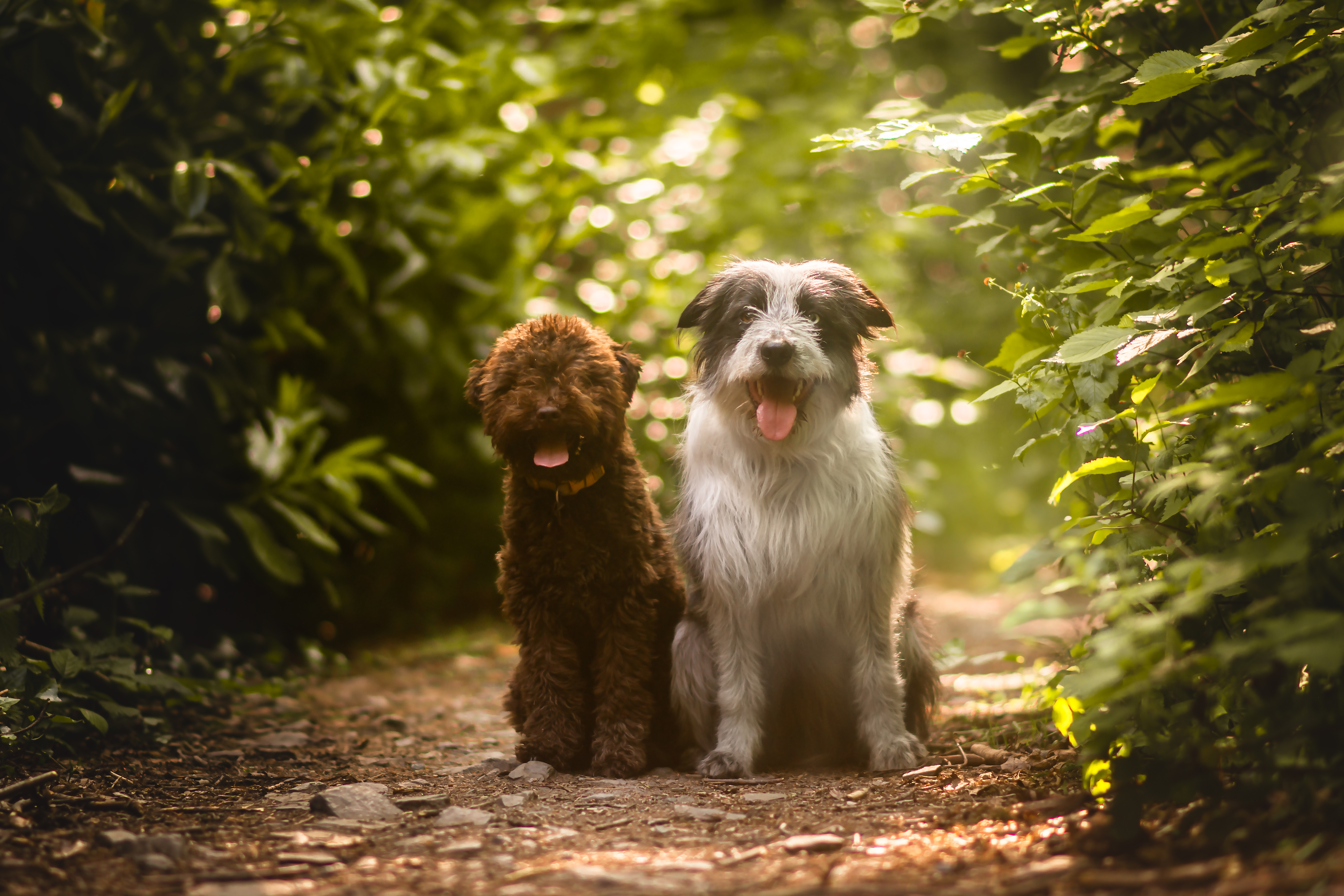 Nimue and Seoda together